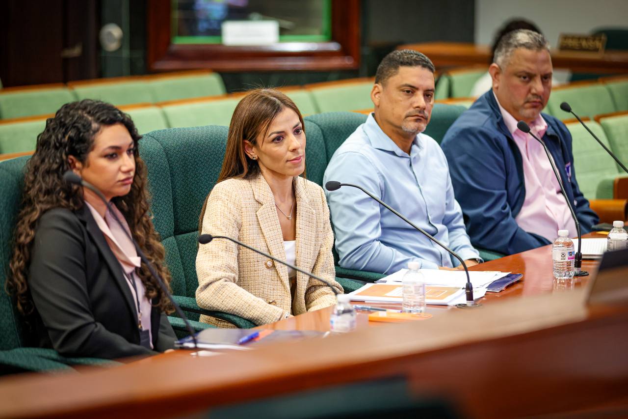 Pensiones alimentarias en Puerto Rico: los proyectos que buscan cambiar cómo se calculan y cobran