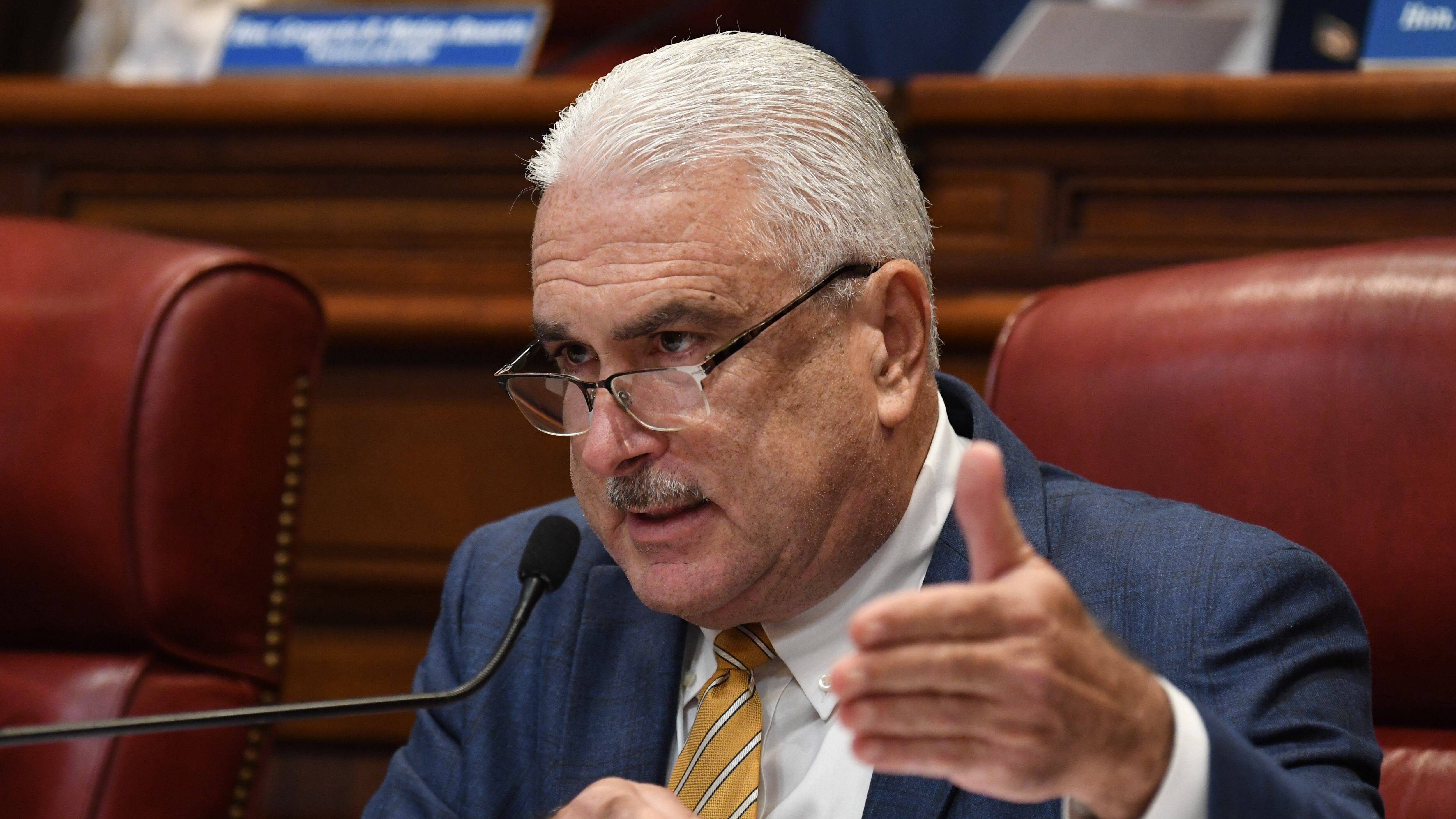 Thomas Rivera Schatz