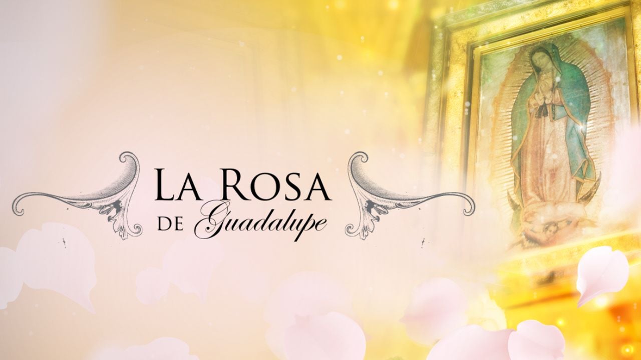 Una actriz de La Rosa de Guadalupe reveló que su hija fue operada de emergencia.