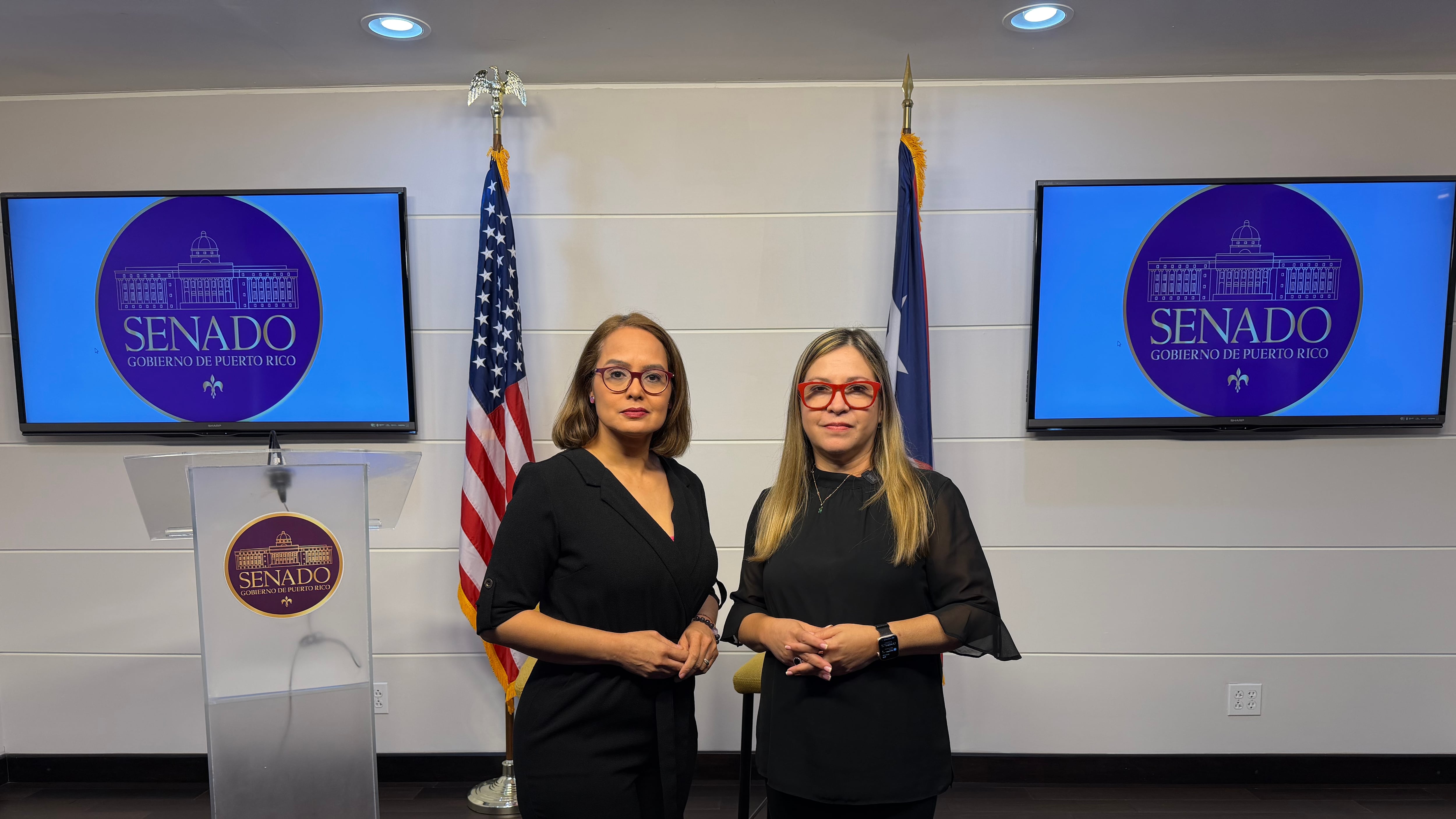 Metro Puerto Rico y Punto Digital transmiten en vivo la Comisión Total del Senado con la comparecencia de Francisco Domenech.