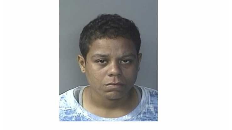 María Del Pilar Alomar Cabrera.