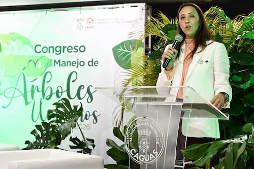 Caguas reafirma la importancia de los árboles urbanos como herramienta de resiliencia climática