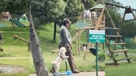 Como a un niño: Abuelo sube a su perro a los juegos del parque y se hacen virales